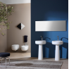 Flaminia Bonola  Freestnding baisn 46 cm on pedestal carbone