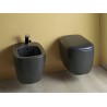 Flaminia Bonola miska wc GoClean + deska wolnoopadająca Carbone