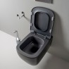 Flaminia Play Wall hung wc GoSilent + seat cover (PY118S+PYCW09), carbone