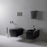 Flaminia Play Wall hung wc GoSilent + seat cover (PY118S+PYCW09), carbone
