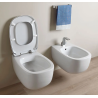 Flaminia  Bonola wall-hung wc GoClean + seat cover soft-close  Argilla