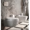 Hidra Ellade wall - hung wc with seat cover soft-close in set