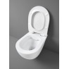 Artceram File 2.0 wall-hung wc rimless with seat cover set FLV004 FLA014 6400 lichen