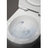 Flaminia App Wall-hung wc GoSilent + seat cover soft-close  (AP118S+QKCW09) , kolor Verde Giada