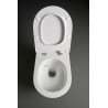 Flaminia App Wall-hung wc GoSilent + seat cover soft-close  (AP118S+QKCW09) , kolor Verde Giada