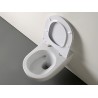 Flaminia App Wall-hung wc GoSilent + seat cover soft-close  (AP118S+QKCW09) , kolor Verde Giada