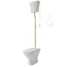 Art ceram Civitas WC with flor drain + High level ceramic cistern gold