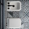 wc  bidet true colors