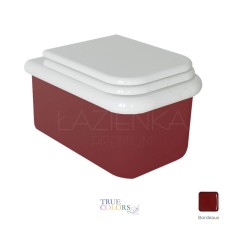 Bleu Provence True Colors Lite wall hung wc white + Bordeaux + seat cover