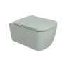 Flaminia Play wc GoSilent + seat cover soft close  Verde Giada