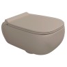 Flaminia Fluo GoClean wall-hung toilet with a soft-close seat argilla FU118GARG + FUCW05ARG