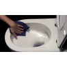 Flaminia Goclean