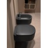 Flaminia Astra bidet wall hung AS218 carbon